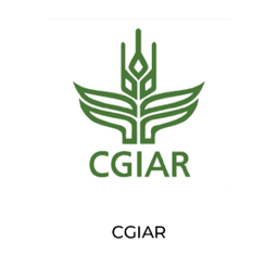 CGIAR logo