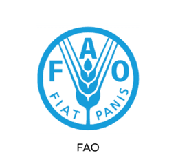FAO logo