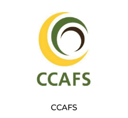 CCAFS logo